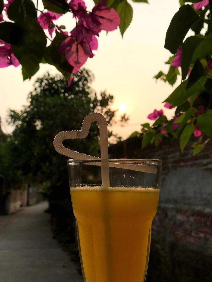 Tam Coc Cozy Homestay Ninh Binh Exterior photo