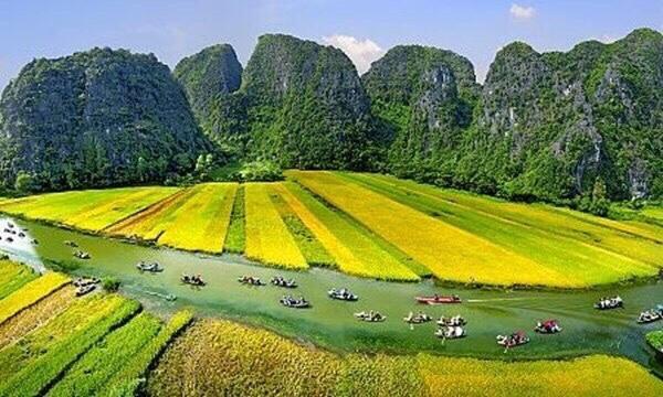Tam Coc Cozy Homestay Ninh Binh Exterior photo