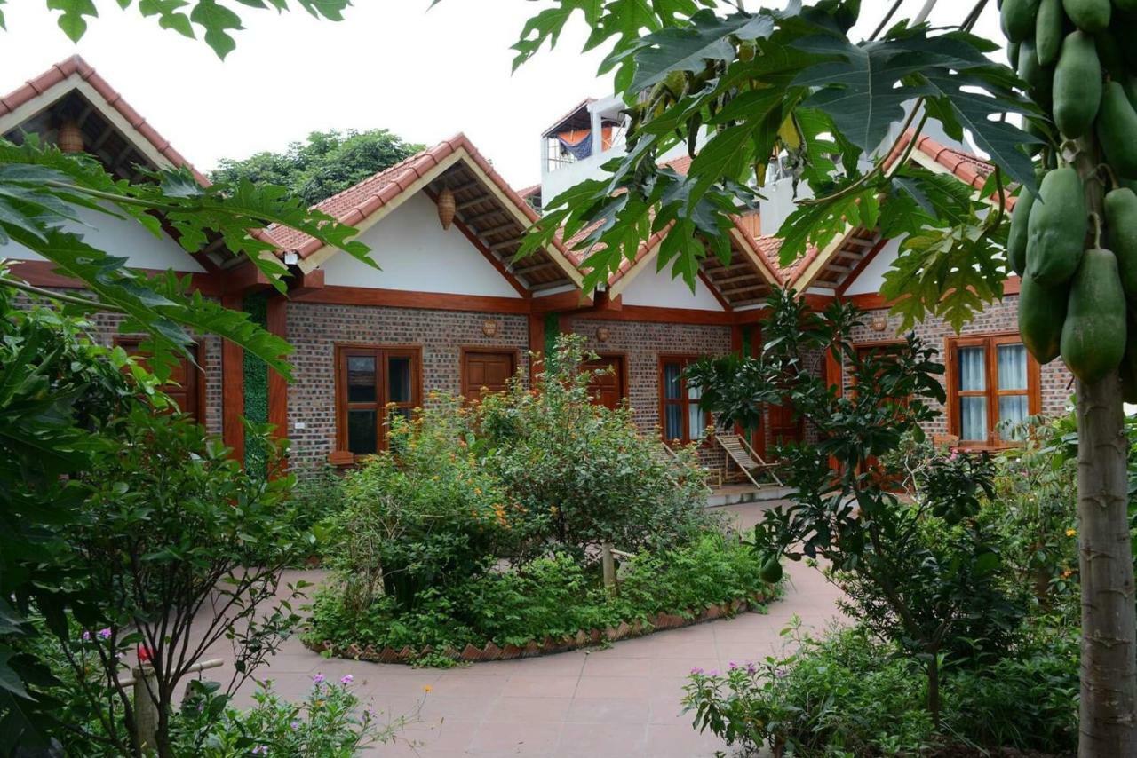 Tam Coc Cozy Homestay Ninh Binh Exterior photo